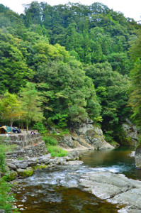 涼しい川辺でキャンプ