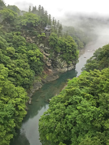 白川橋から下流方面