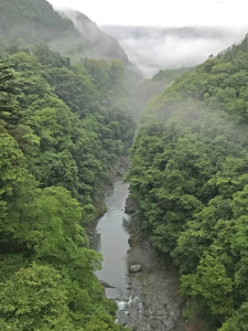 白川橋から上流方面