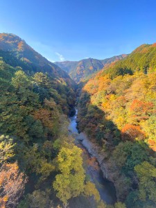 白川橋から上流側