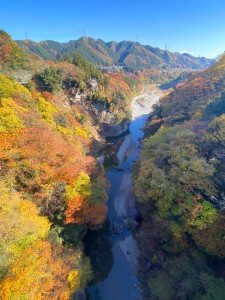 白川橋から下流側