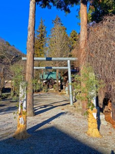 近くの神社には正月飾りが飾られていました