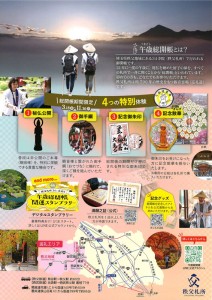 秩父札所午歳総開帳チラシ裏
